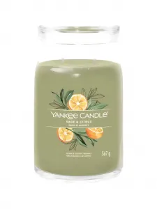 Большая свеча с шалфеем и цитрусом Yankee Candle, зеленый