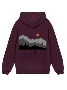 Толстовка F4NT4STIC Escape Discover the World, коричневый