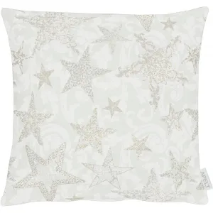 Чехол на подушку АПЭЛТ «4711», (1 шт.), 4711 40X40 Apelt, цвет goldfarben, natur