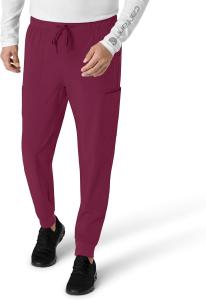 Брюки Carhartt для мужчин, Wine