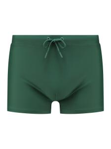Плавки Shiwi Swim Trunks, зеленый