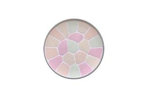 E Sized Replacement Core Portable/Family Size Powder Oil Control Complexion Correcting Skin Tone 8.8g/27g Elégance