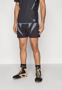 Спортивные шорты Venum FIGHTSHORTS, Black/Silver-Coloured Grey/Black