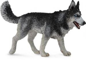 Collecta, Коллекционная статуэтка, Собака сибирский хаски