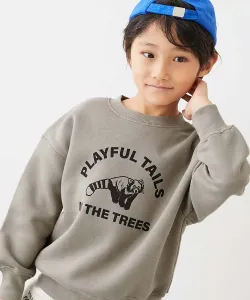 Толстовка Devil Lab Animal College на флисовой подкладке с крупным силуэтным принтом, сезон осень-зима 25 Devirock, цвет 011-Red Panda-D Greige