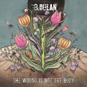 Виниловая пластинка Dolan, B. - Wound Is Not The Body