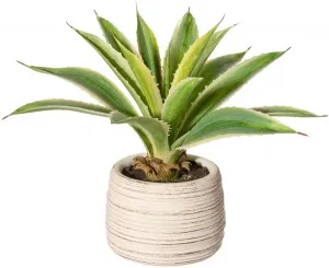 Креатив зеленый Искусственное комнатное растение "Агава в цементном горшке" Creativ green 25 см, зеленый