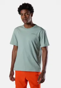 Футболка presset, базовая футболка Rossignol, Sage Green