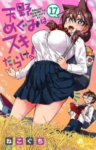 Amano Megumi is Full of Flaws! (17) (Shonen Sunday Comics)