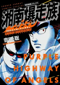 Shonan Bakusozoku: Akira Ishikawa & Kakuji Marukawa Edition (Special Edition) (Shonen Sunday Comics)
