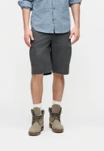 Шорты бруклин Timberland, Blackened Pearl