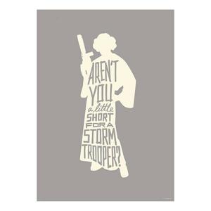 Фреска Komar Star Wars Silhouette Leia цвет grau/beige