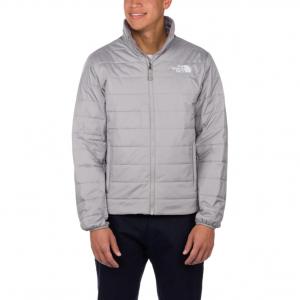 Куртки и пальто мужские THE NORTH FACE, серый