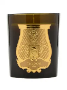 Свеча с логотипом Trudon, зеленый