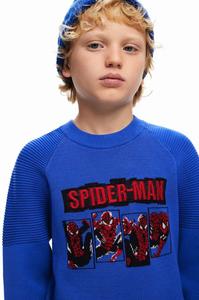 Детская толстовка Desigual SPIDERMAN, синий