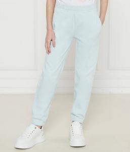Штаны спортивные Guess Regular Fit, голубой
