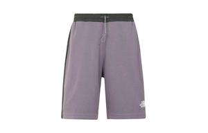 Повседневные шорты мужские THE NORTH FACE, фиолетово-черные