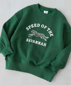 Толстовка Devil Lab Animal College на флисовой подкладке с крупным силуэтным принтом, сезон осень-зима 25 Devirock, цвет 004-Cheetah-Bottle Green