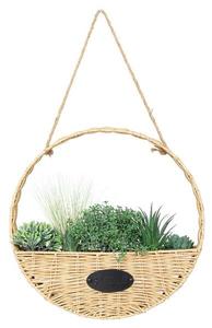 Декоративное растение Atmosphera Créateur d'intérieur CALA, бежевый