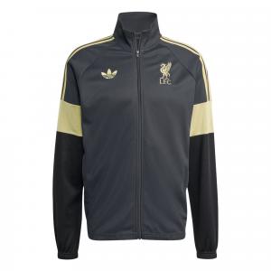 Мужская спортивная куртка LIVERPOOL FC LFSTLR Adidas Originals, carbon черный