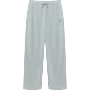 Повседневные брюки унисекс прохладный THE NORTH FACE, серый