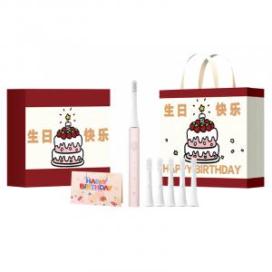 Электрическая зубная щетка T100 с мягкими щетинками, звуковая вибрация, водонепроницаемость IPX7 Xiaomi