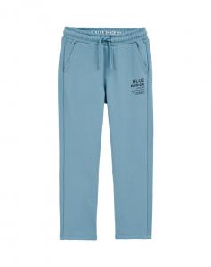 Зауженные брюки WE Fashion, Navy/Pastel blue