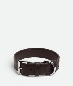 Средний ошейник для собак intrecciato BOTTEGA VENETA, фондан