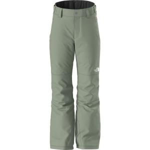 Брюки The North Face Freedom Insulated The North Face, Slate Moss