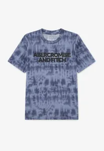 Футболка с принтом в виде шлакоблоков Abercrombie & Fitch, Castlerock