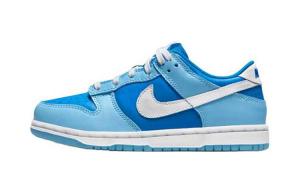 Nike Dunk Low Argon (2022) (ПС)