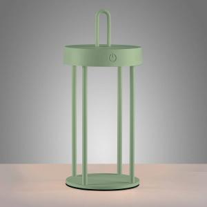 Светодиодная настольная лампа JUST LIGHT Anselm, железо - 1 пламя - мятно-зеленый