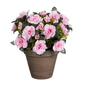 Декоративное растение Mica Decorations Azalee, 26x26x26 см, розовый