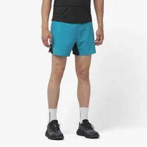 Мужские шорты Salomon Cross 5'', синий