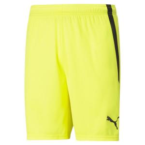 Мужские шорты Puma teamLIGA 704924
