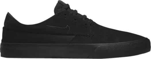 Кроссовки Nike Shane SB 'Triple Black', черный