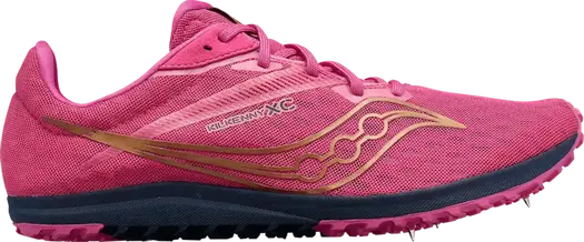 Кроссовки Saucony Kilkenny XC9 Spike Prospect Quartz, розовый