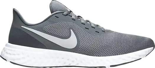 Кроссовки Nike Revolution 5 'Cool Grey', серый