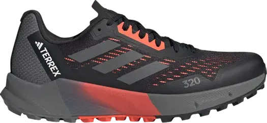 Кроссовки Adidas Terrex Agravic Flow 2 'Black Grey', черный