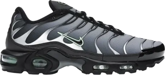Кроссовки Nike Air Max Plus 'Particle Grey Vapour Green', серый