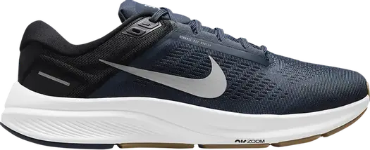 Кроссовки Nike Air Zoom Structure 24, синий