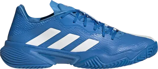 Кроссовки Adidas Barricade 'Blue Rush White', синий