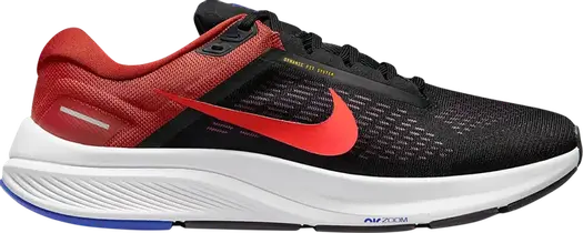 Кроссовки Nike Air Zoom Structure 24 'Black Cinnabar', черный