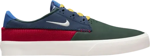 Кроссовки Nike Shane SB 'Multi', многоцветный