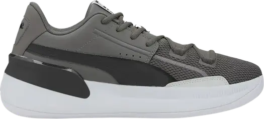 Кроссовки Puma Clyde Hardwood Team Castlerock, серый
