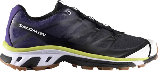 Кроссовки Salomon Avnier x S/Lab XT-5 Parachute Purple Lime Gum, фиолетовый