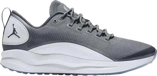 Кроссовки Jordan Zoom Tenacity Cool Grey, серый