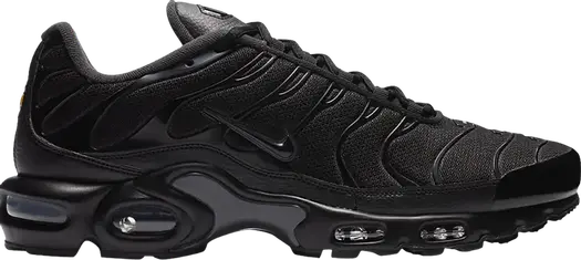 Кроссовки Nike Air Max Plus 'Black Dark Smoke Grey', черный