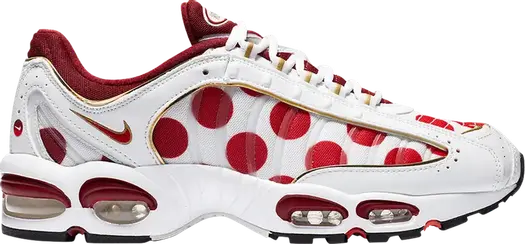 Кроссовки Nike Air Max Tailwind 4 'Nippon', белый