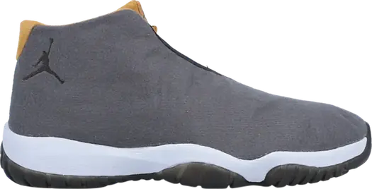 Кроссовки Jordan Future Grey Wheat, серый
